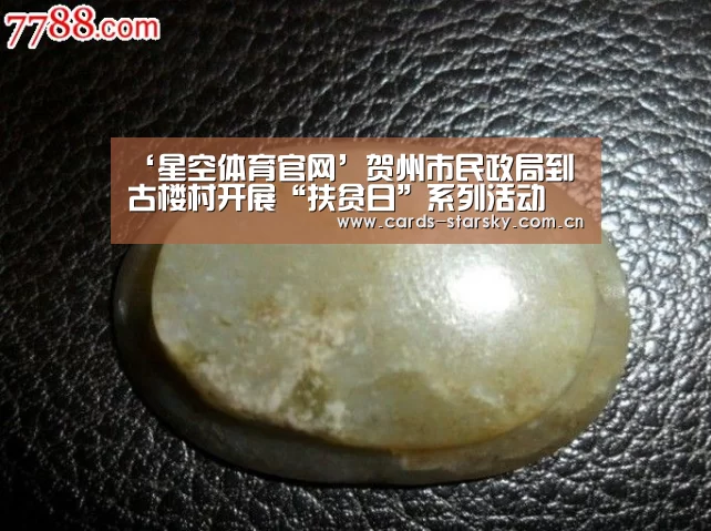 ‘星空体育官网’贺州市民政局到古楼村开展“扶贫日”系列活动(图1) 星空体育app