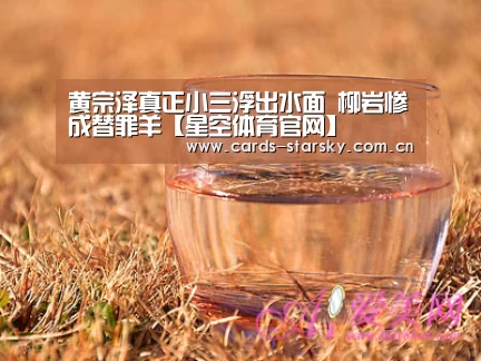 星空体育app